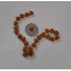 合肥環氧樹脂地坪-合肥永晨地坪-環氧樹脂地坪施工工程